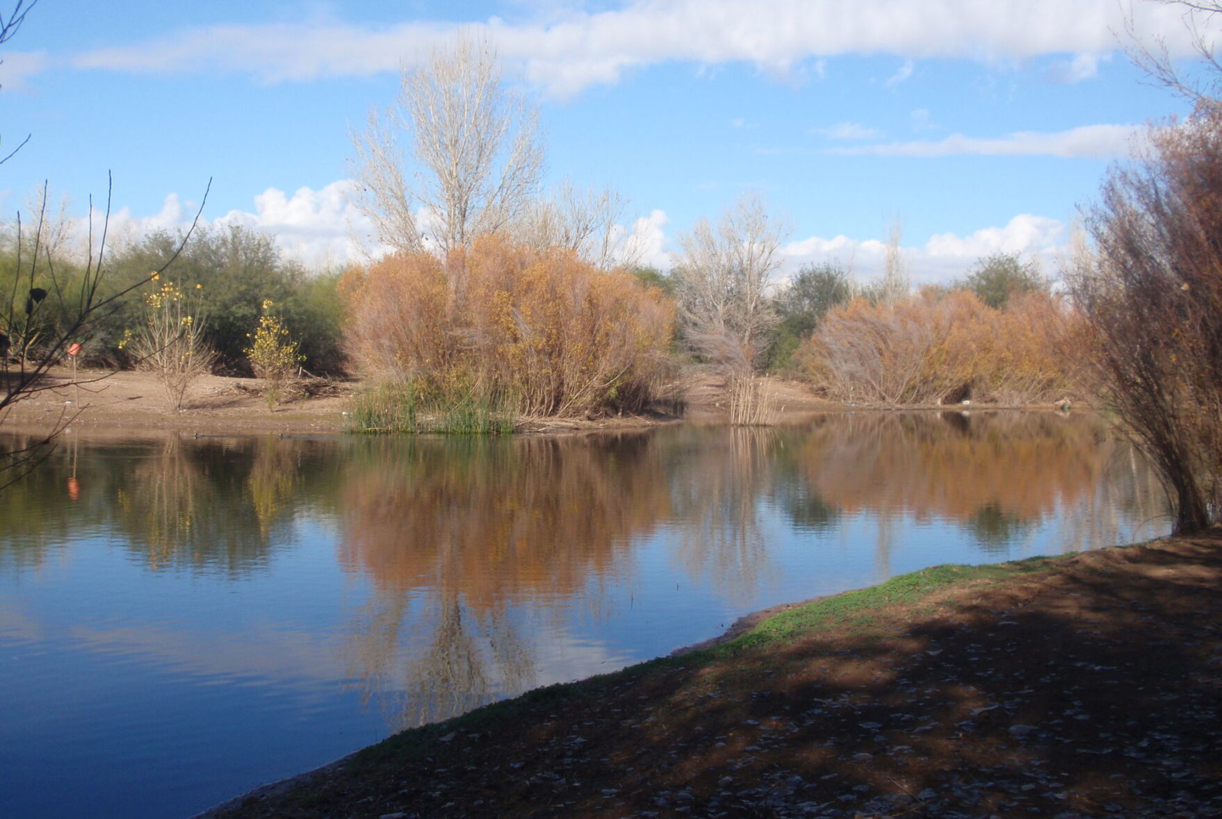 Travels with Two Sisters: Visiting watery desert oases